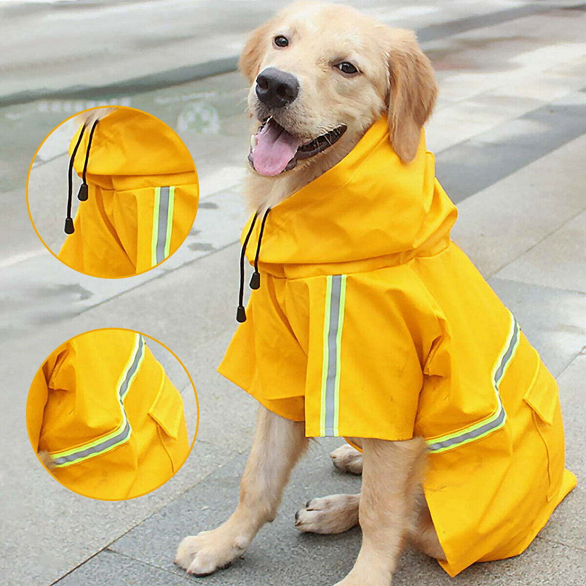 RaincoatGuard - Waterproof Dog Rain Jacket with Reflective Stripe | Keep Your Pup Dry and Safe