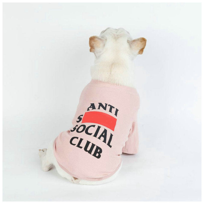 SoloPup - Casual Dog Sweater | Fashion-Forward Pet Apparel!