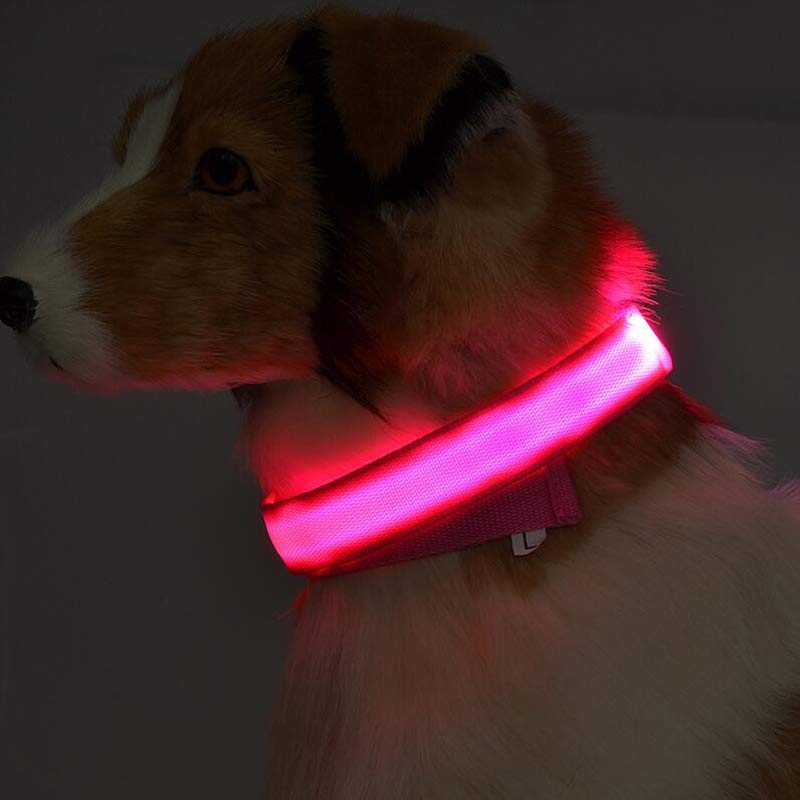 GlowGuard - LED Pet Collar | Night Safety Illumination for Dogs and Cats