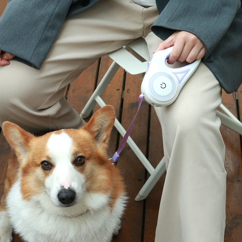 FlexiGlow - Retractable Dog Leash | Enhanced Safety with Built-In Collar Spotlight