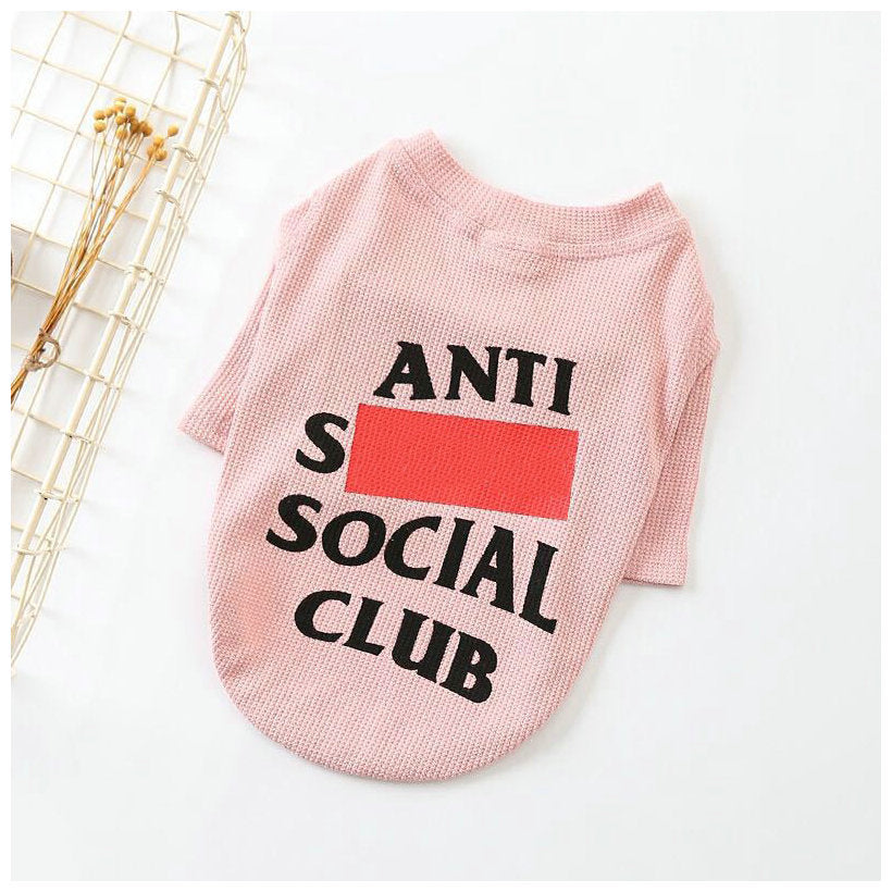 SoloPup - Casual Dog Sweater | Fashion-Forward Pet Apparel!