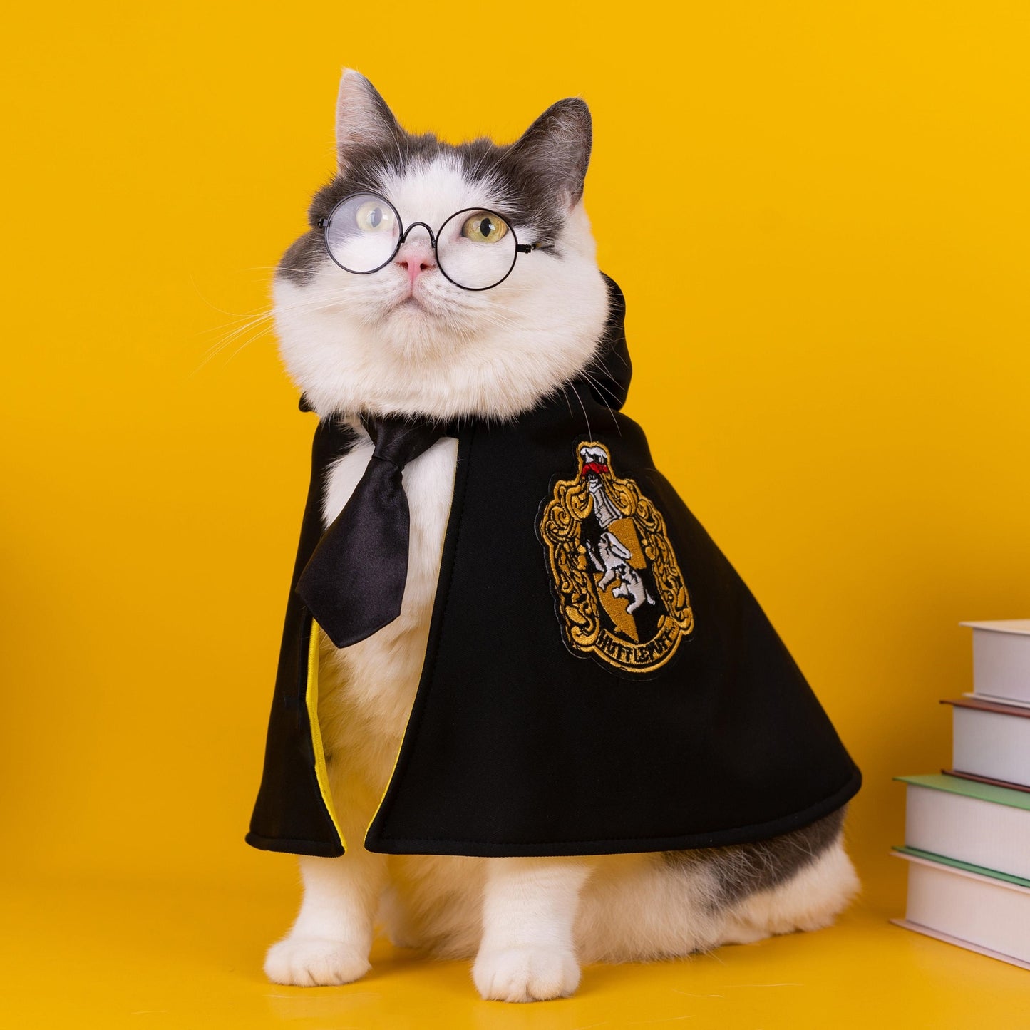 AcademyCloak - Stylish Pet Cape by New Canine Academy | Unleash Your Pet's Inner Hero