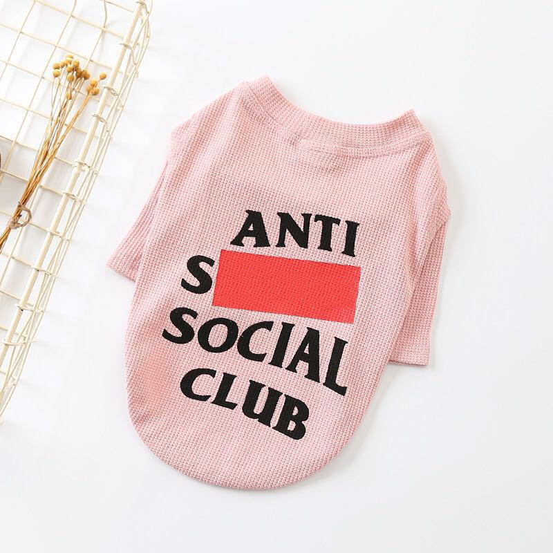 SoloPup - Casual Dog Sweater | Fashion-Forward Pet Apparel!