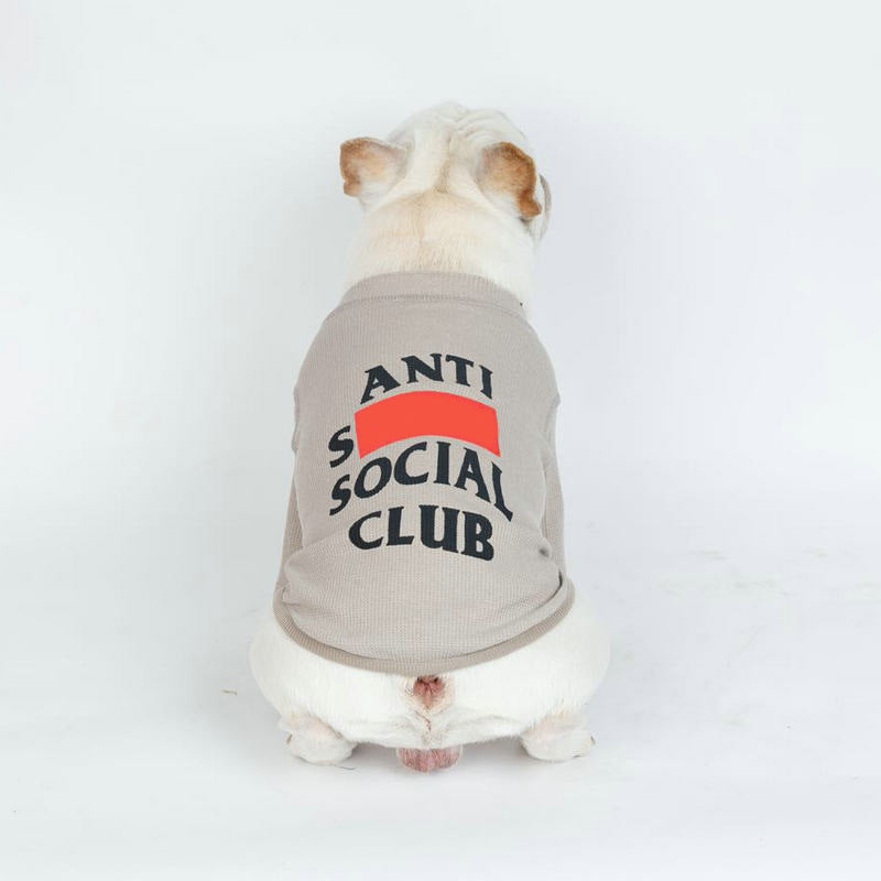 SoloPup - Casual Dog Sweater | Fashion-Forward Pet Apparel!