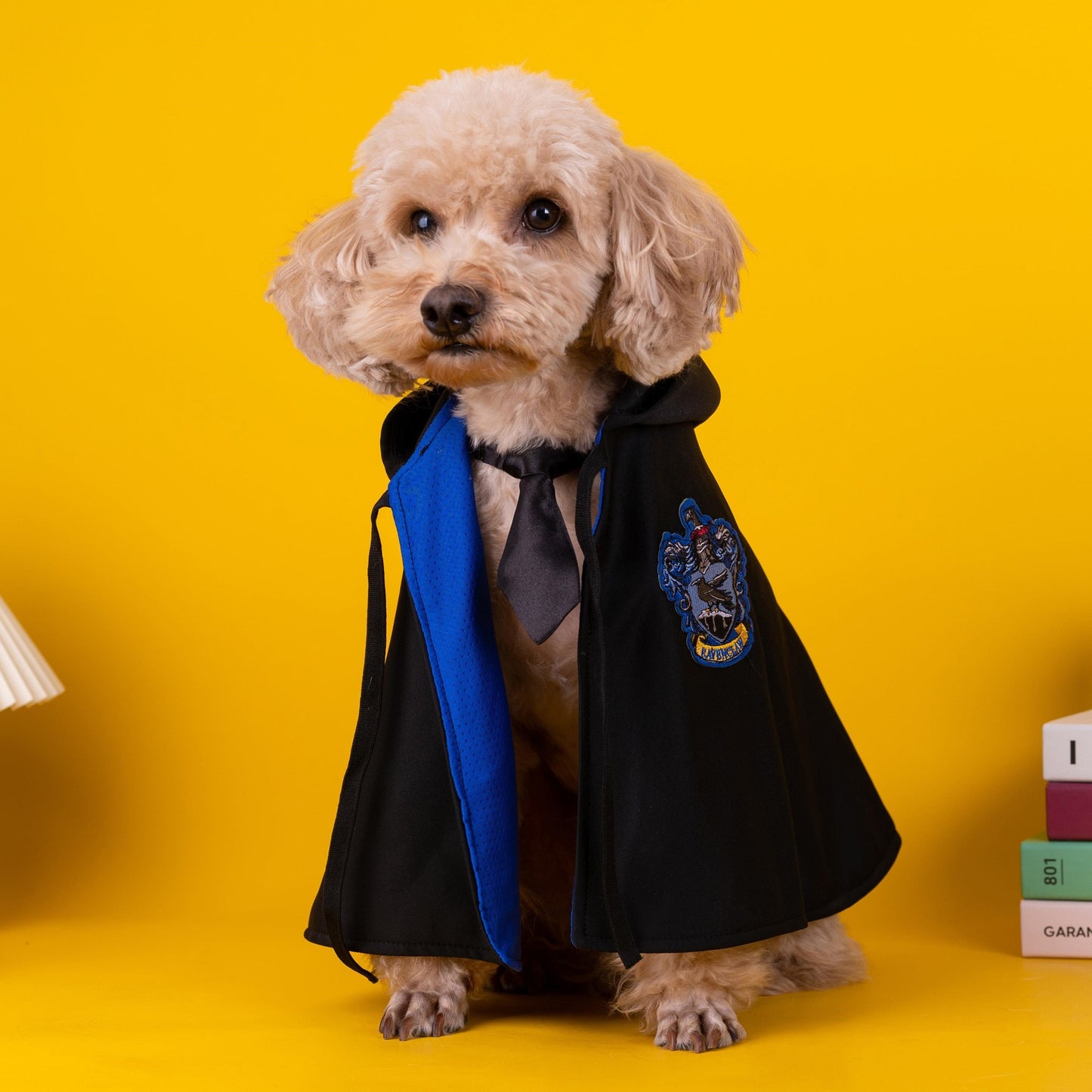 AcademyCloak - Stylish Pet Cape by New Canine Academy | Unleash Your Pet's Inner Hero