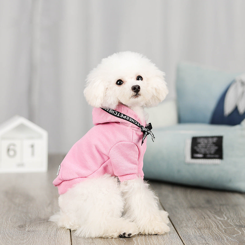 TrendyTails - Casual Pet Apparel | Comfort Meets Style!