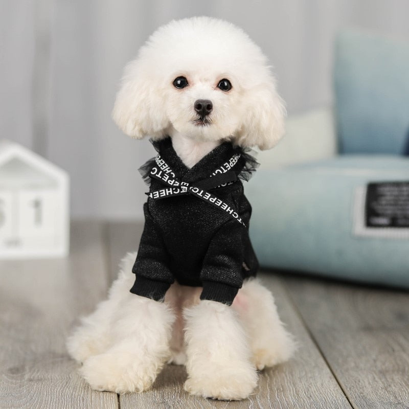 TrendyTails - Casual Pet Apparel | Comfort Meets Style!