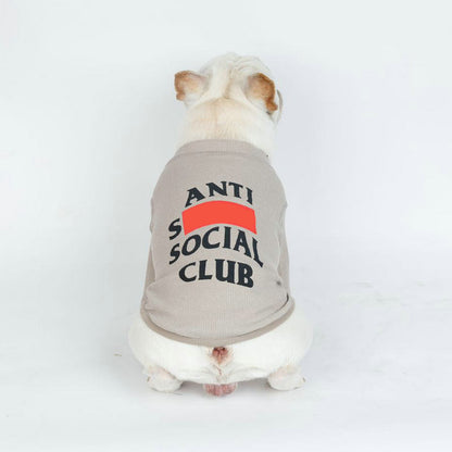 SoloPup - Casual Dog Sweater | Fashion-Forward Pet Apparel!